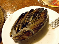 DSCN5734