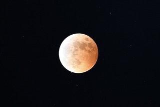 793089D7-E0DD-492F-8719-198D0FD43213