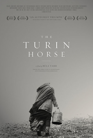 theturinhorse