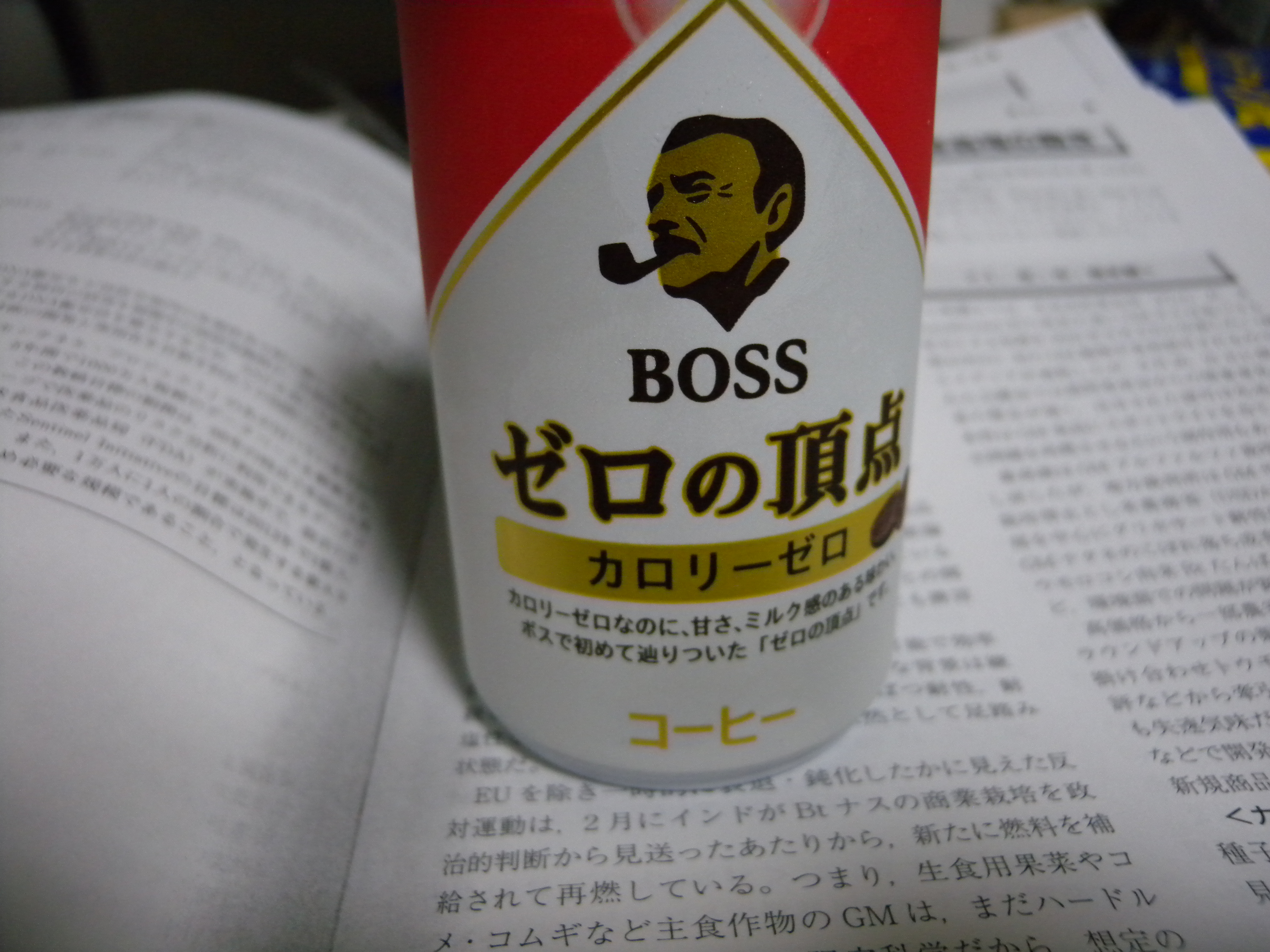 ゼロの頂点 多分世界で最初のとんかつ評論家 元木一朗のブログ