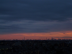 P1020921