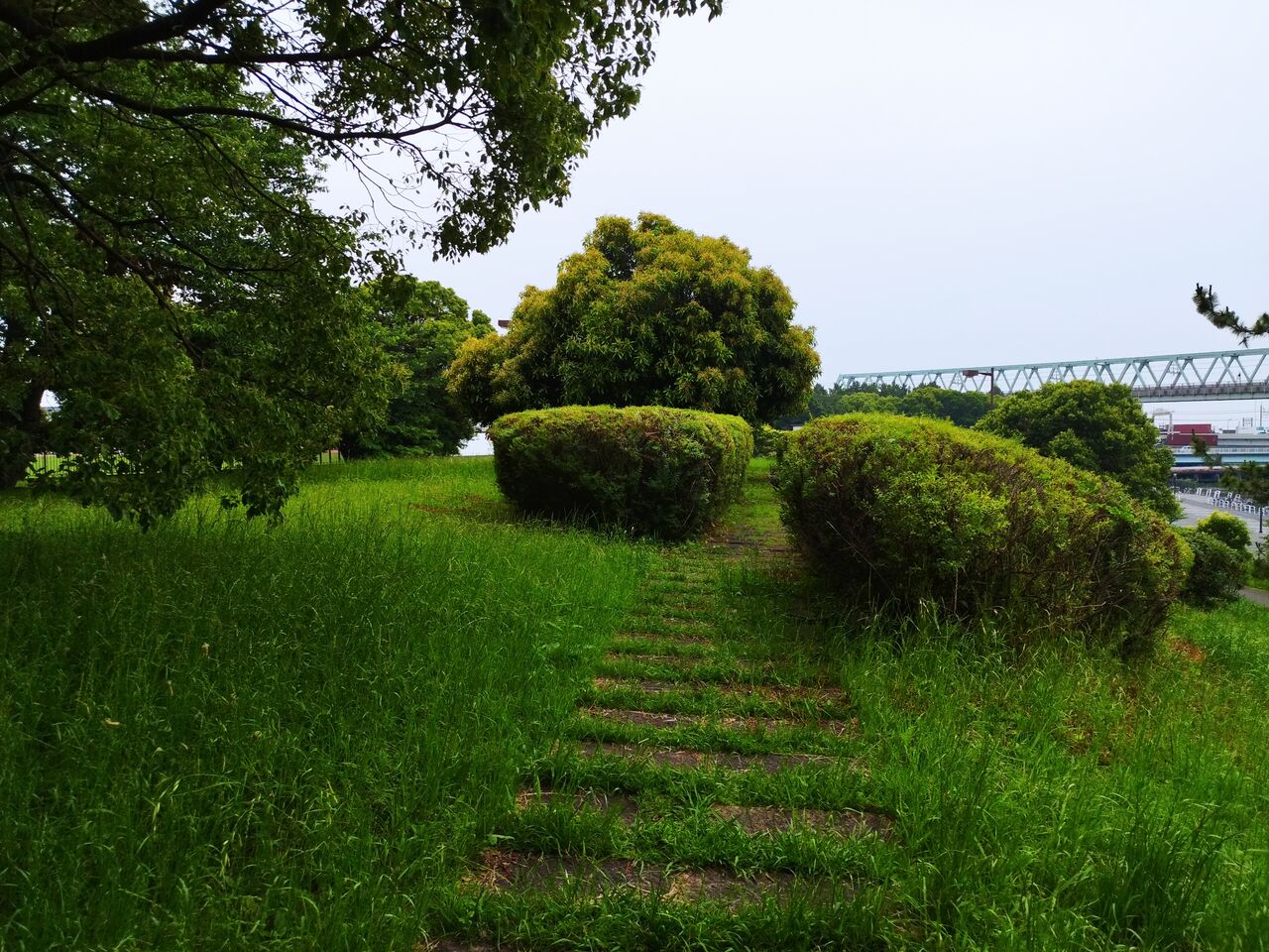 管理人のハッテン場散歩・新木場夢の島公園(日焼け) : エロもっこり