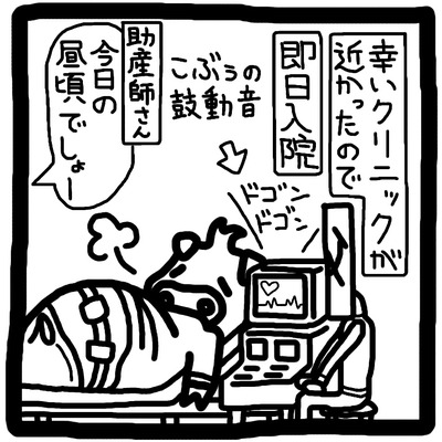 2 たんじょう 2 19.01.13