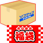 ソフマップ.com 2015福袋