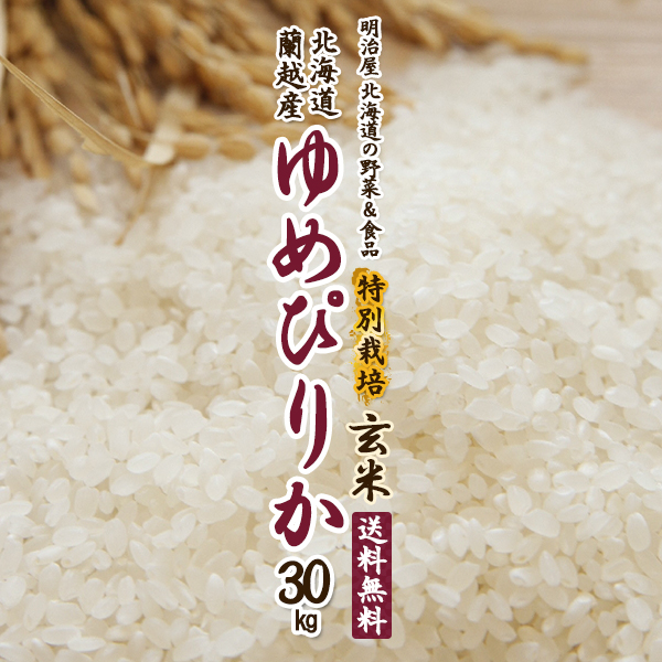 20時・先着100名】北海道蘭越産 特別栽培米 ゆめぴりか 玄米 令和5年