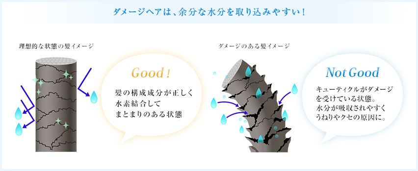 バズブログ バズブログ