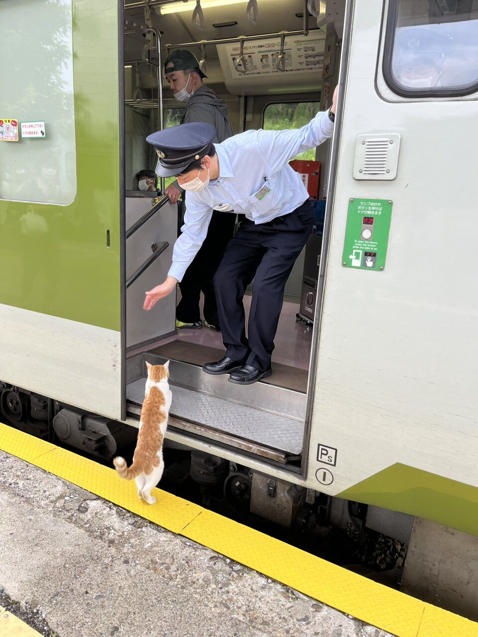 【画像】ネコさん、電車で無賃乗車を試みるwwwwwwww