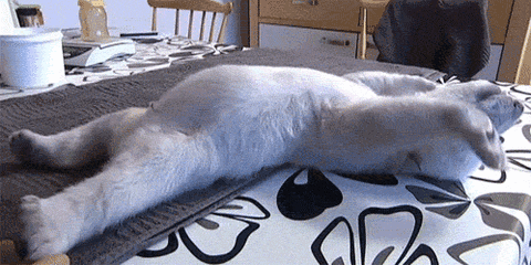 ネットで拾った変な画像1