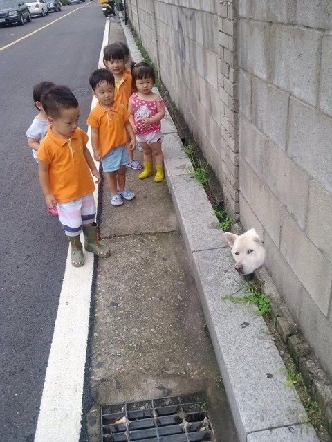 笑ったら負け13