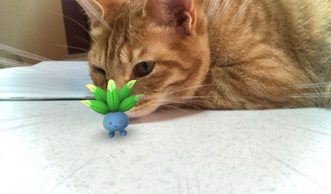 ペットはポケモンを見ることが出来る5