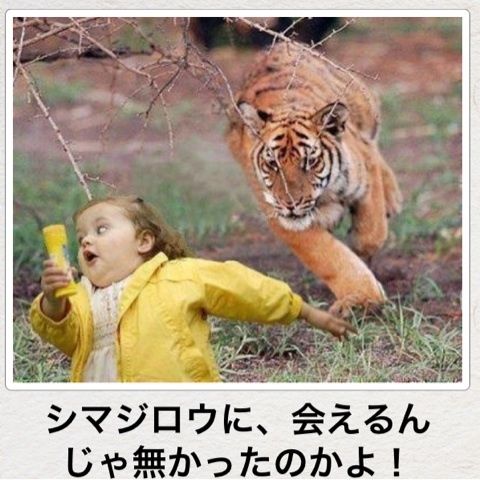 画像で笑ったら寝ろ 爆笑画像のみを厳選３３枚 バズラル団