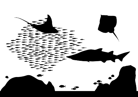 22478957