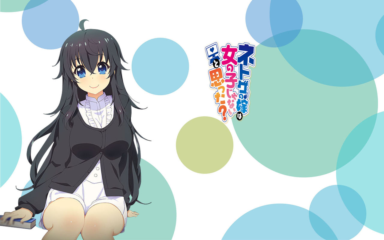 ネトゲの嫁は女の子じゃないと思った 其の6 蒼い陽炎