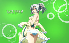 蒼い陽炎 16年08月