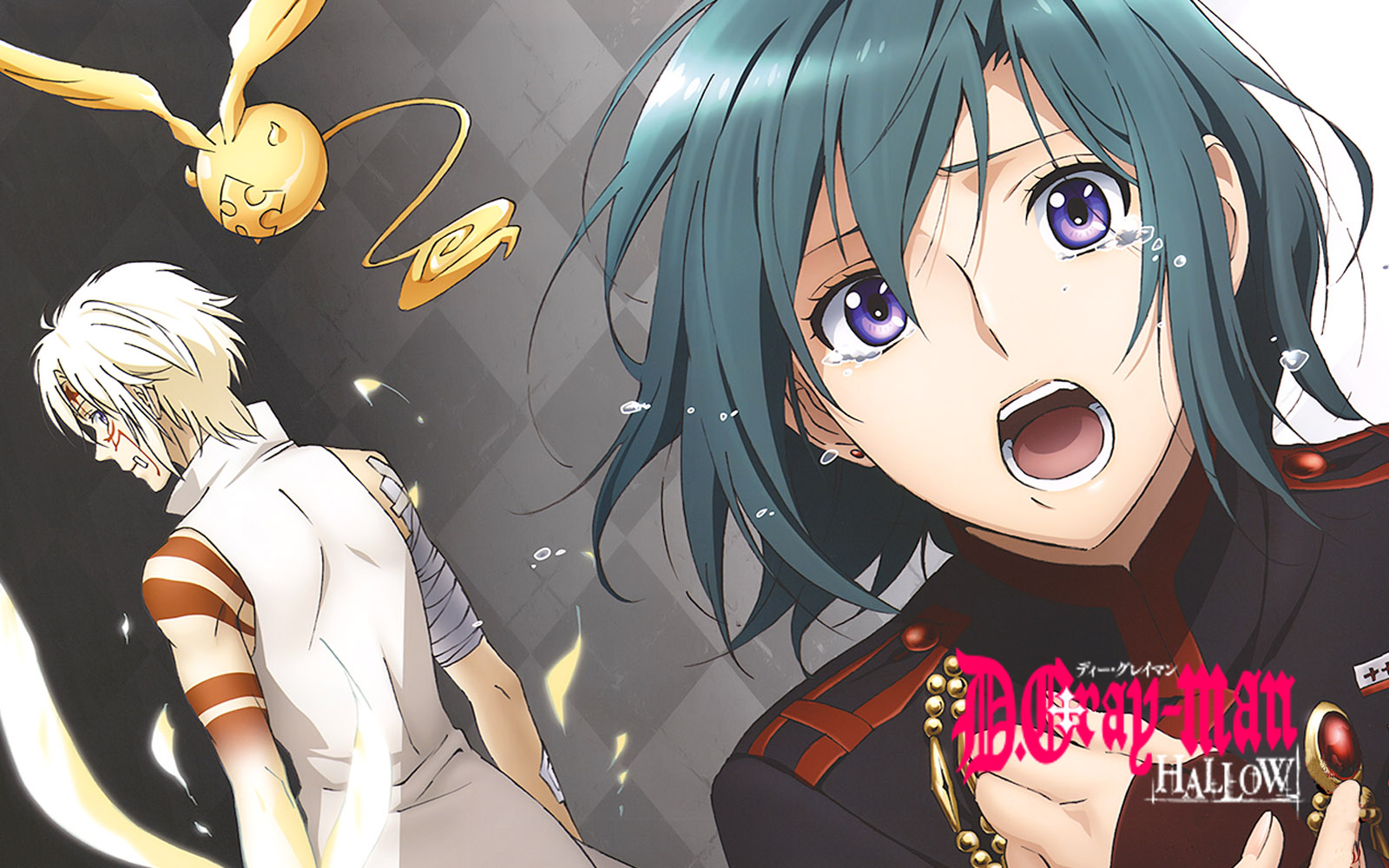 D Gray Man Hallow 其の9 蒼い陽炎