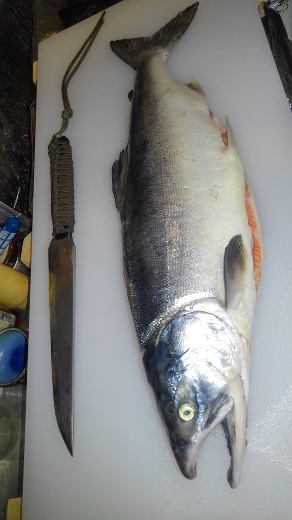 釣った魚 生かすも殺すも 花鳥風月ステージ2 釣った魚 生かすも殺すも 花鳥風月ステージ2