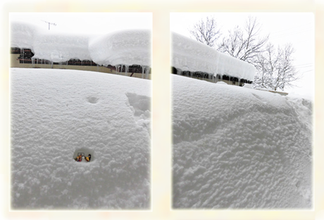 yuki20210111a