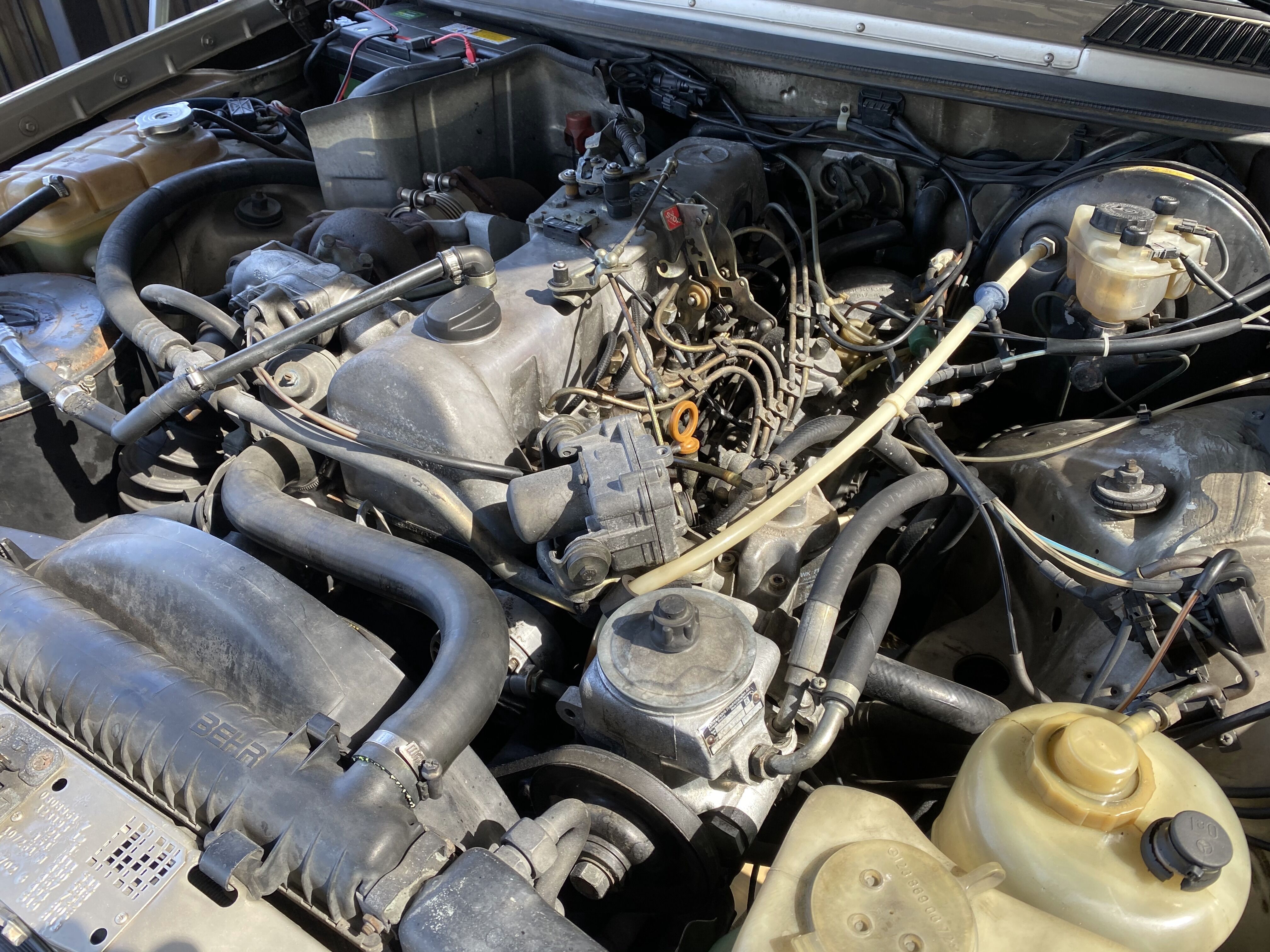 W123 「〇〇オートより購入した、W123をじっくり検証する 