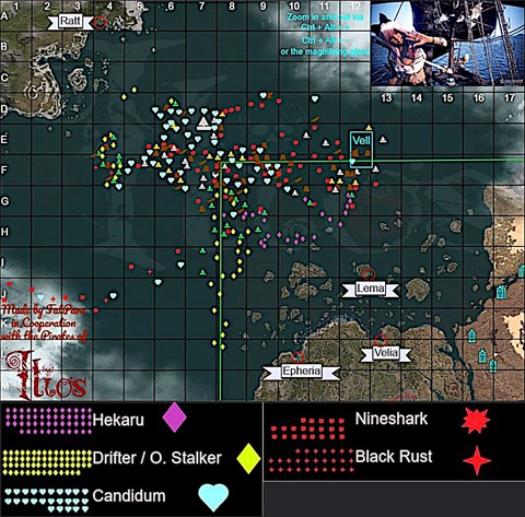 海獣生息図