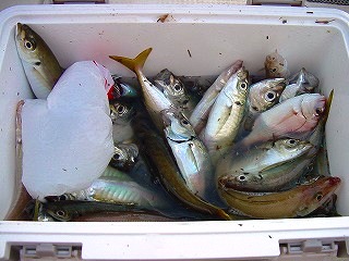 13014d00.jpg