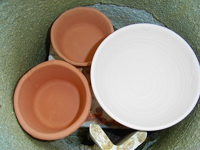 d519c533.jpg