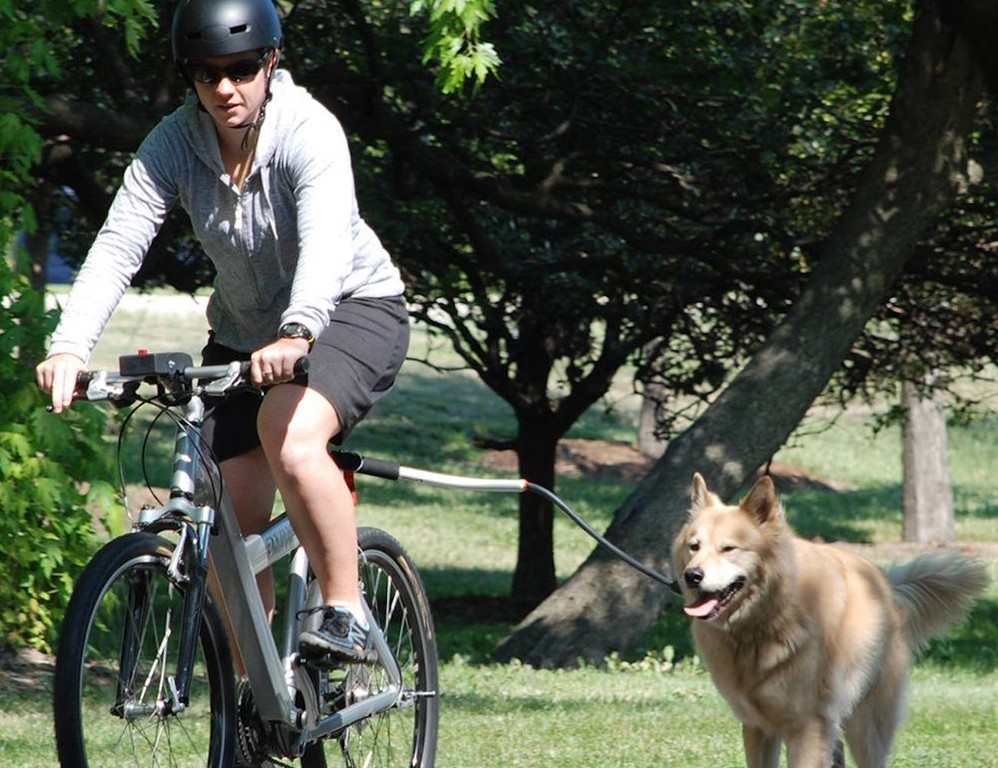 ﾄｯﾌﾟ 犬の散歩に最適な自転車は ﾌﾞﾘｰﾀﾞｰ チャリ足