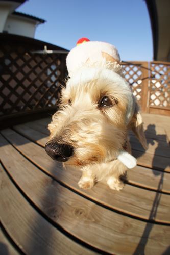 DSC00536_R