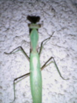 d9038d73.jpg