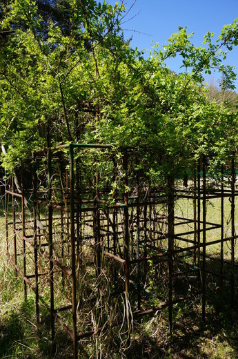 DSC03363