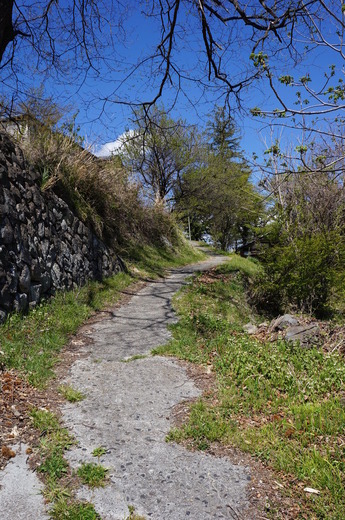 DSC03350