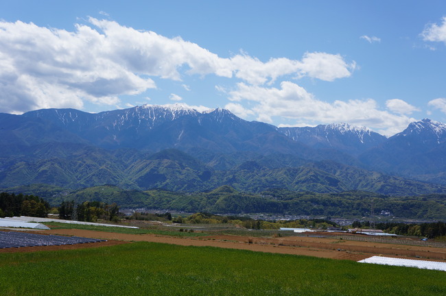 DSC03344