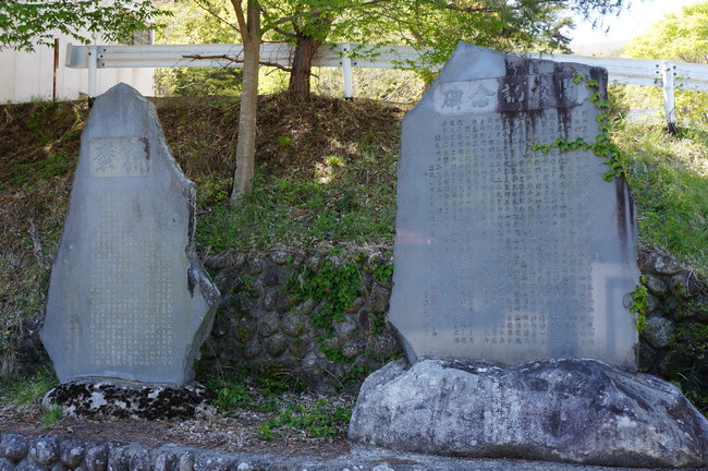 DSC03384