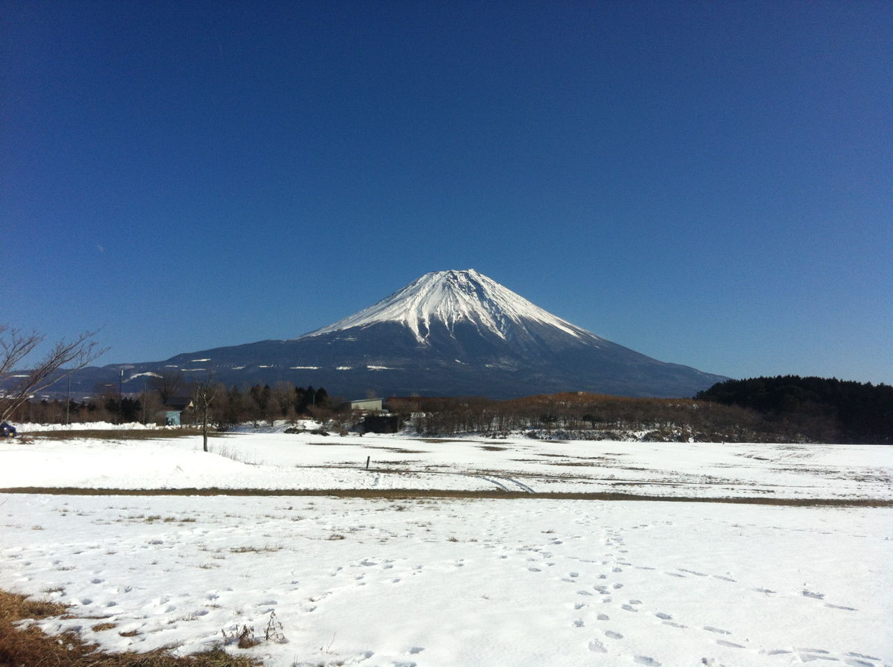 20130120冬の富士山(朝霧高原より)