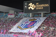 bigflag