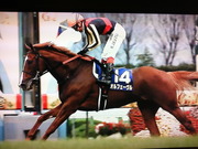 Orfevre@オルフェーヴル