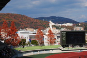岡山の紅葉
