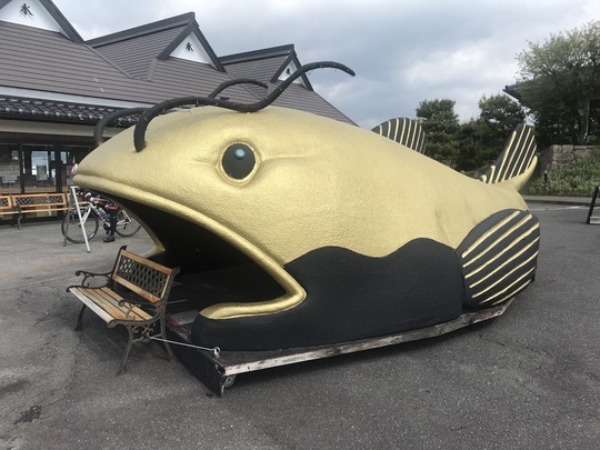 402F290F-67E3-45EC-AB20-F3A2DB0FA9C5_1_105_c