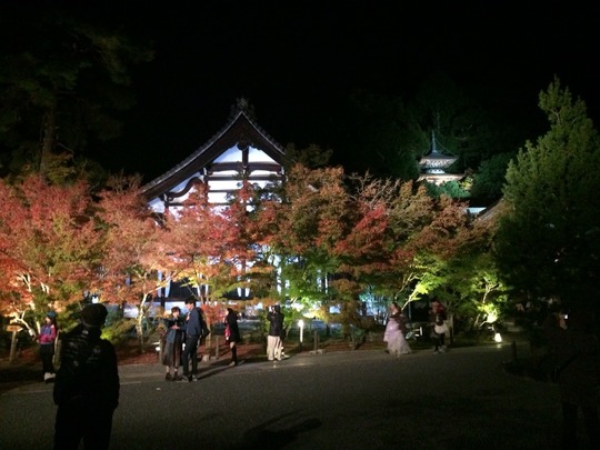 京都・永観堂の夜間拝観