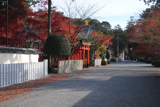 多田神社境内-2