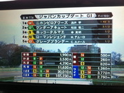 japanCupDirt 13th結果