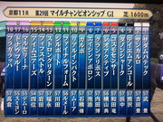 第29回マイルCS出馬表