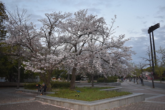 05756451-D8DF-48CD-9D23-E287A36030AB_1_105_c