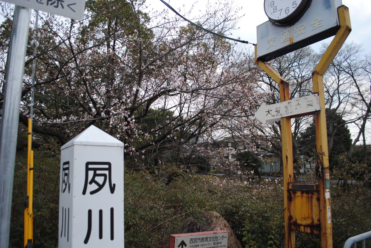 夙川公園