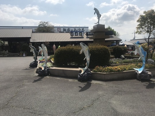 3A630F9F-6ABE-4579-BADC-03B21FF96B25_1_105_c