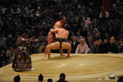 横綱相撲