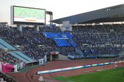 BigFlag(gamba)