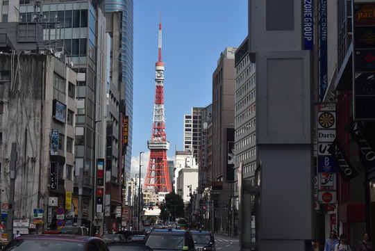 ϻ���ڳ������̤꤫���������