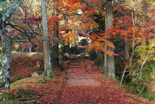 龍隠寺@南丹市園部