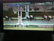 ニホンピロアワーズが勝利