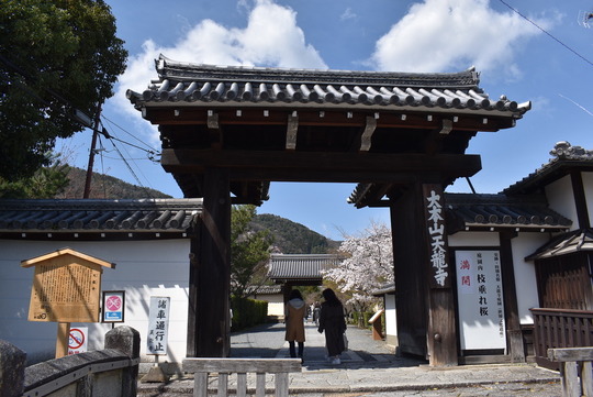 10D6EEF5-5D8A-4AEB-8A6F-A599F30BC6DD_1_105_c